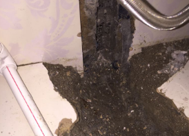 桃城卫生间测漏水哪家好